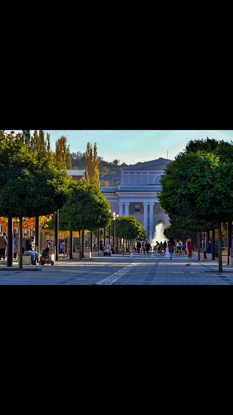 Refugiul Castelului Appartement Hunedoara Buitenkant foto